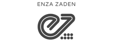 Enza zaden